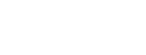 BUSINESS INSIGHT